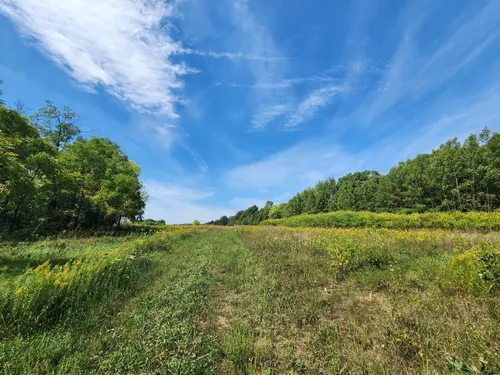 Best Hikes and Trails in Rocky Run Oak Savanna State Natural Area ...