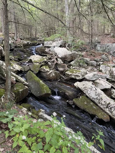 Best Hikes and Trails in Roaring Brook Nature Center | AllTrails