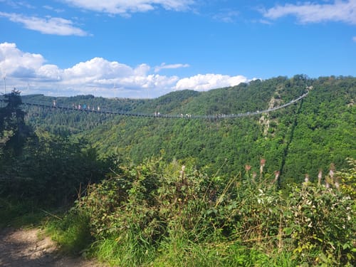 Geierlayschleife (Premiumwanderweg)