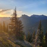 Sheep Lake Trail, Washington - 716 Reviews, Map | AllTrails