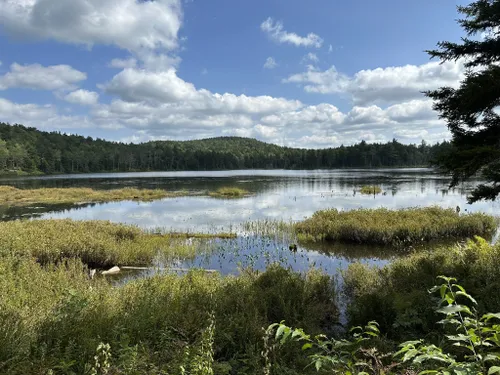 10 Best Trails and Hikes in Gilford | AllTrails