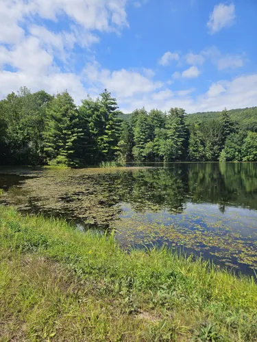 Best 10 Hikes and Trails in Mount Holyoke Range State Park | AllTrails