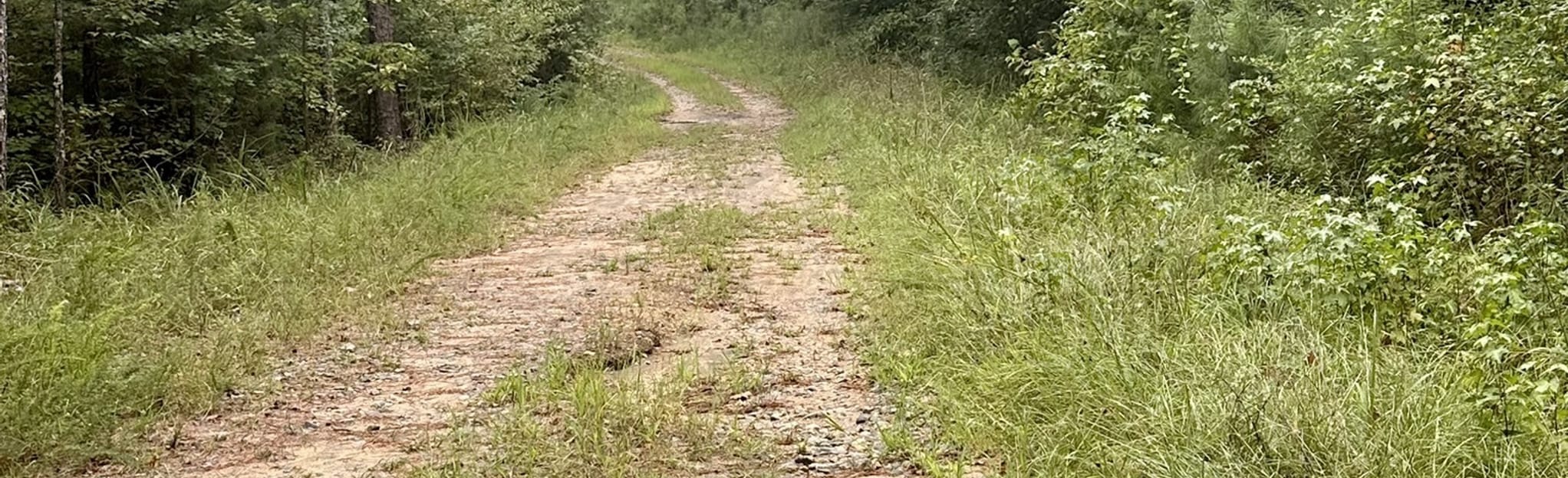 Bimini Loop, Georgia - 44 Reviews, Map | AllTrails