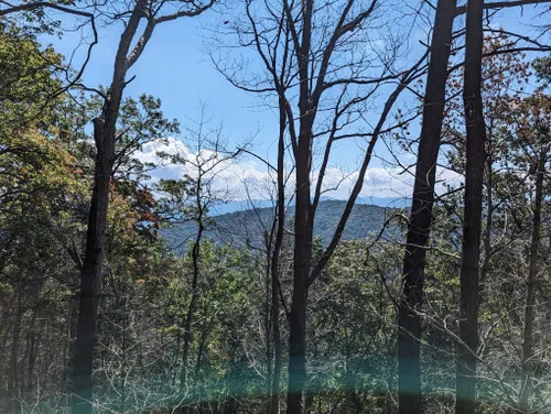 Long Branch Loop #165G Hiking Trail, Blue Ridge, Georgia