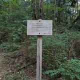 Whittaker wilderness peak clearance trail