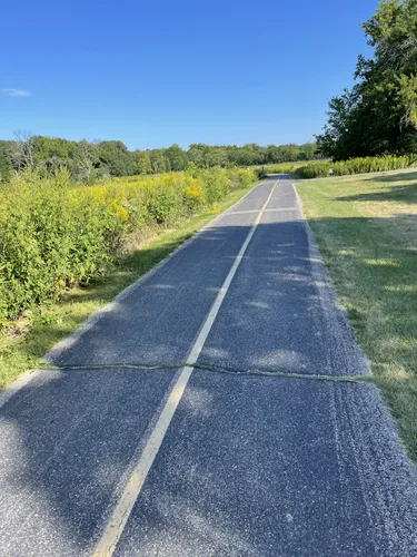 ELK GROVE VILLAGE ILLINOIS visual data 4