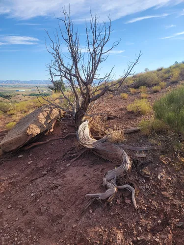 Best 10 Hikes and Trails in Black Ridge Canyons Wilderness | AllTrails