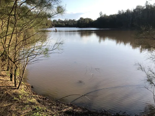 Best Hikes and Trails in Scheyville National Park AllTrails