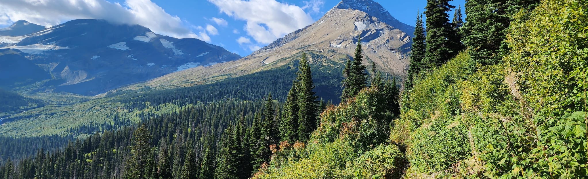 Gunsight Lake and Florence Falls via Gunsight Pass Trail, Montana 284 Reviews, Map AllTrails