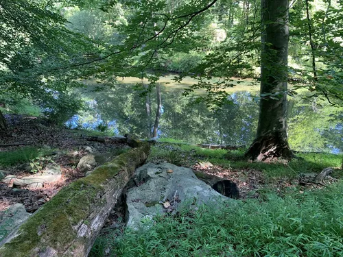 Best Hikes and Trails in Auburn Valley State Park AllTrails