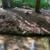 Hickory Creek Wilderness Trail, Pennsylvania - 346 Reviews, Map | AllTrails
