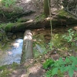 Hickory Creek Wilderness Trail, Pennsylvania - 346 Reviews, Map | AllTrails