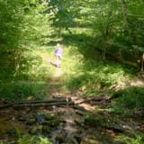 Hickory Creek Wilderness Trail, Pennsylvania - 346 Reviews, Map | AllTrails