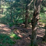Hickory Creek Wilderness Trail, Pennsylvania - 401 Reviews, Map | AllTrails