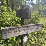 Wilscot Gap to Brawley Mountain Loop, Georgia - 195 Reviews, Map ...