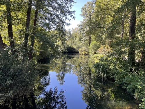 Spree und Großer Tiergarten