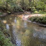 Big Berea Trail, Bull Creek Trail, and White Pine Loop, North Carolina ...