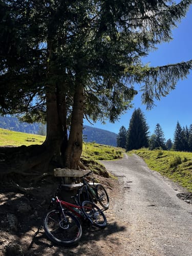Grosser Alpsee Rundweg
