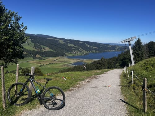 Grosser Alpsee Rundweg