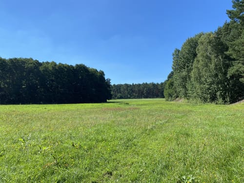 Um den Braminsee