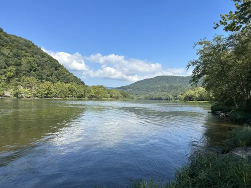 Best Forest Trails in Shady Spring AllTrails