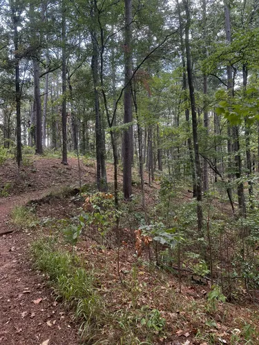 tyler state park bike trails
