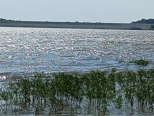 Lake Heyburn State Park de beste routes om te wandelen AllTrails