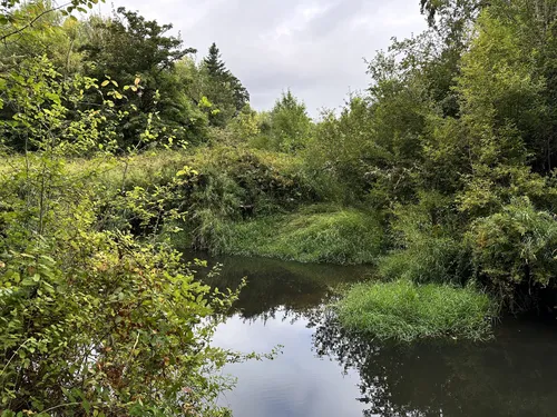 Best Hikes and Trails in Fern Ridge Wildlife Area AllTrails