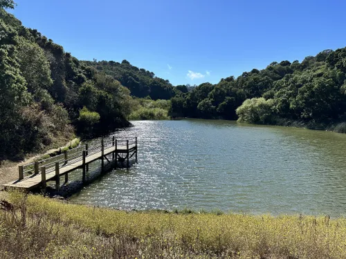 Best Hikes and Trails in Water Dog Lake Open Space | AllTrails