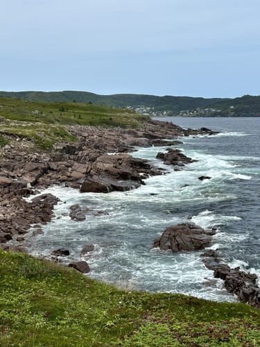 Motion path hotsell east coast trail