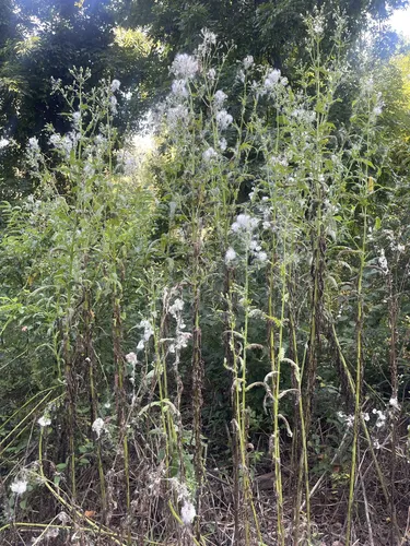 ridley creek state park bike trail
