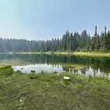 Tipsoo Lake to Dewey Lake Loop, Washington - 586 Reviews, Map | AllTrails