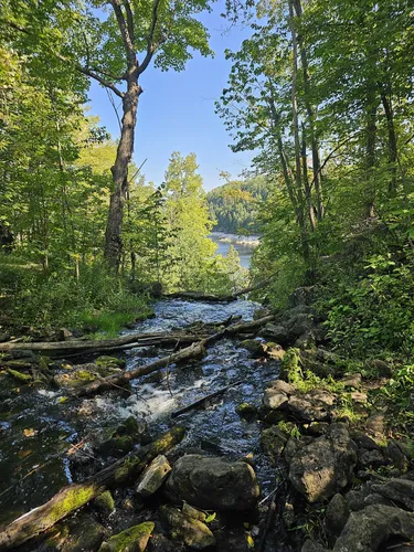 Hilton falls mountain biking sales