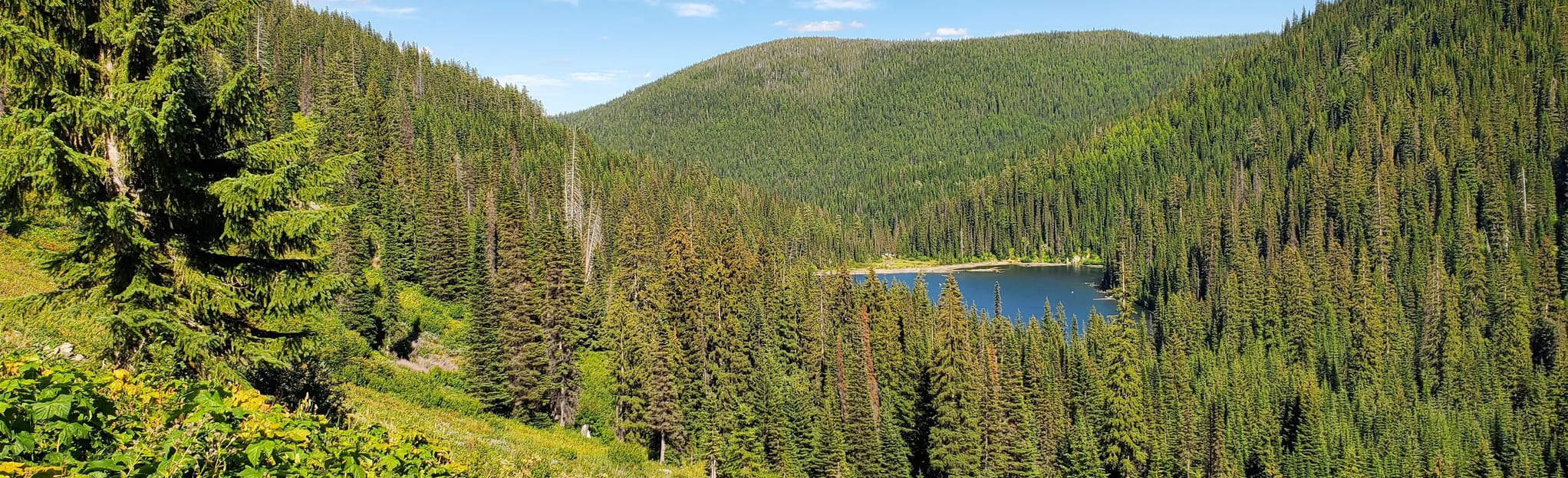 Diamond Lake and Cliff Lake Trail, Montana 154 Reviews, Map AllTrails