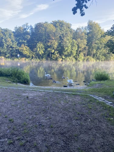 Rund um den Machnower See