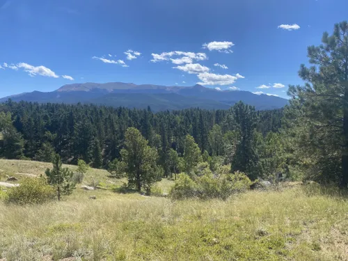 Best Kid Friendly Trails In Mueller State Park 