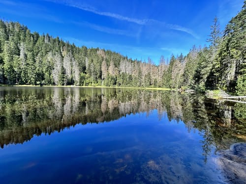 Baiersbronner Himmelsweg: Bannwald Tour