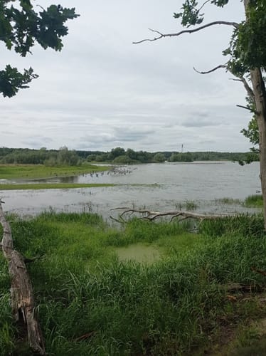 Quitzdorfer Stausee Rundweg
