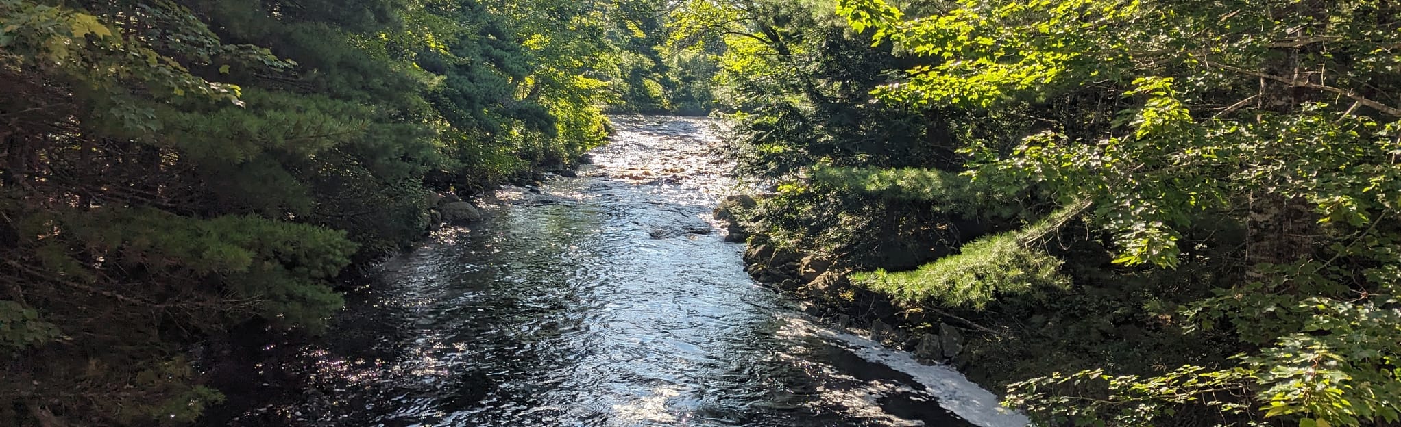 Wilkins Lake via Shelburne County Rail Trail, Nova Scotia, Canada Map