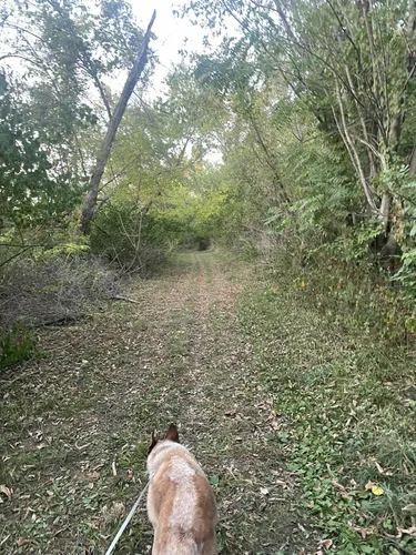 Peaceful Retreats: 5 Beautiful Hiking Trails in Cedar Falls – Iowa