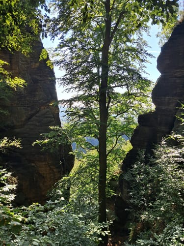 Malerweg Etappe 3: Hohnstein - Altendorf