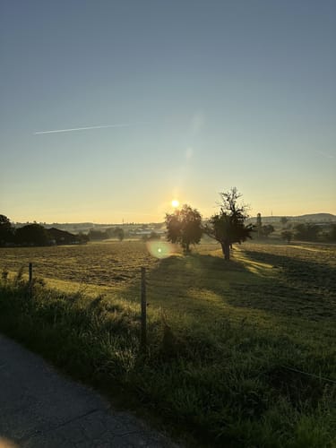 Tiefenbronn Schwarzer Adler - Tiefenbronn Mühlweg
