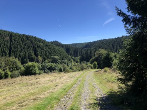 Im Tal des Lichtenbachs