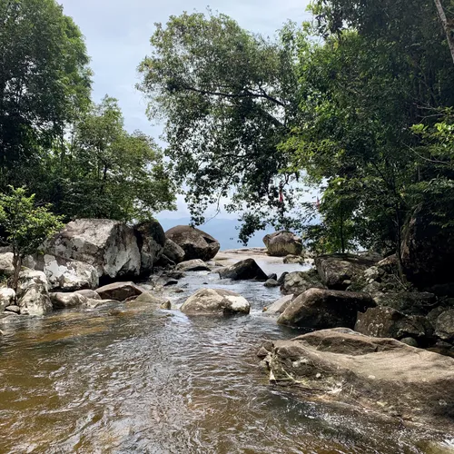 Best Hikes and Trails in Gunung Stong State Park | AllTrails