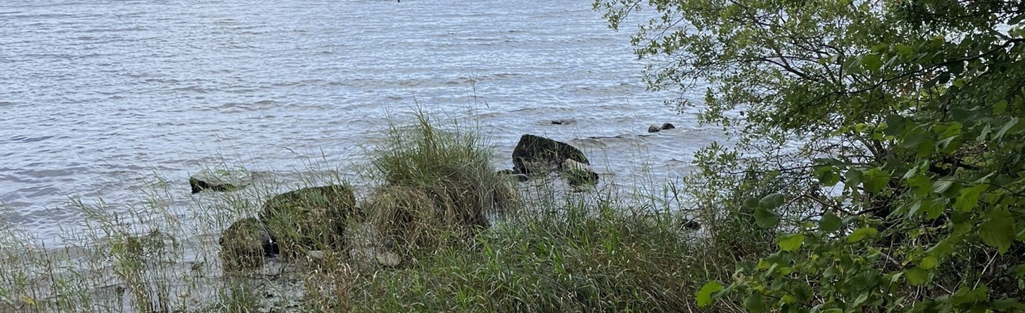 Dooney Rock Loop 11 Reviews, Map County Sligo, Ireland AllTrails