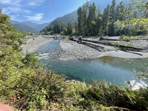 Best Horseback Riding Trails in Olympic National Park | AllTrails