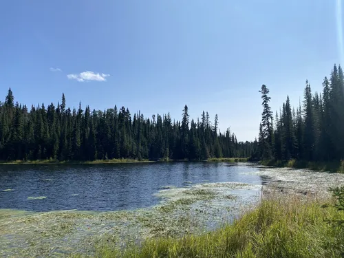 Best Hikes and Trails in Widewater AllTrails