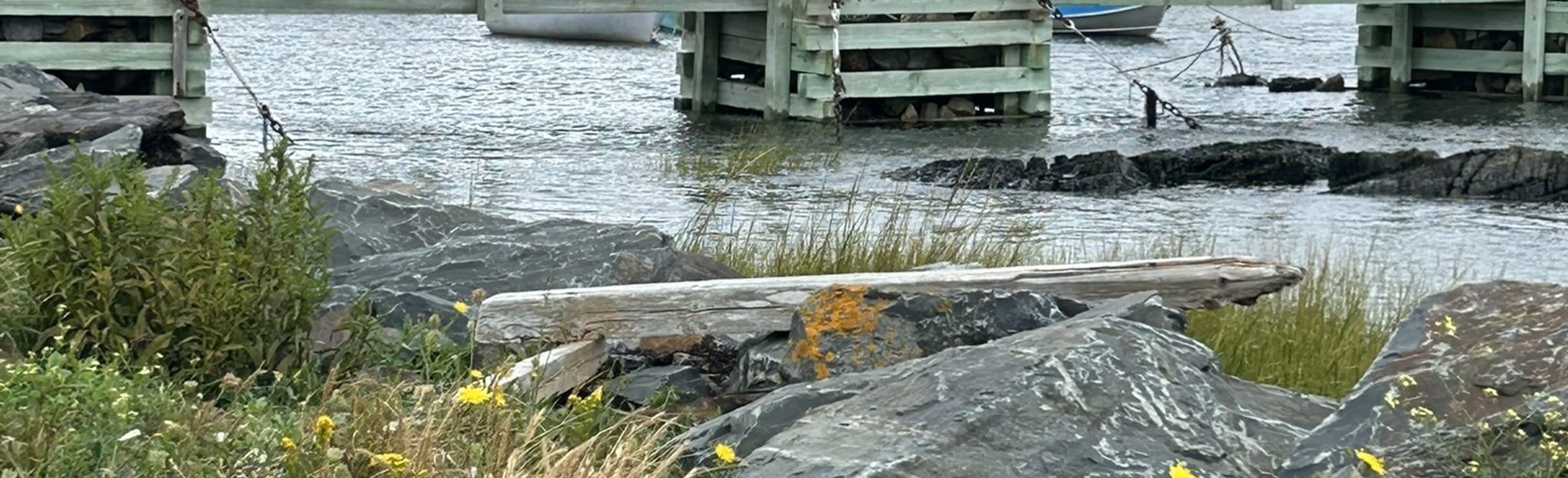 Mud Cove Paddle, Nova Scotia, Canada 7 Reviews, Map AllTrails