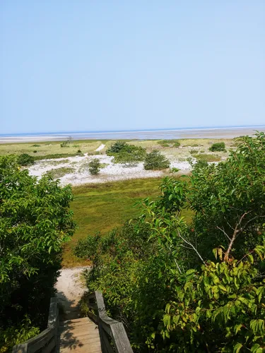 Best Hikes and Trails in Cape Cod Museum of Natural History | AllTrails