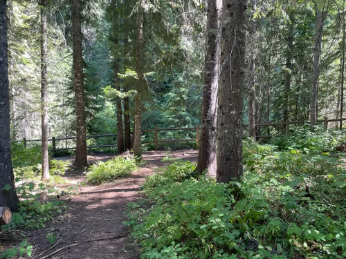 10 Best Hikes And Trails In Idaho Panhandle National Forest | AllTrails